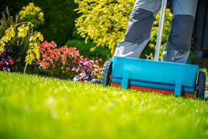 A beautiful spring lawn can be acheived in central Florida with these 6 lawn care tips from the experts at Heron Home & Outdoor.