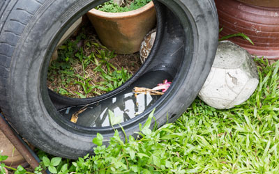 Old tires that gather water are a common mosquito breeding ground in Orlando FL - Heron Home & Outdoor