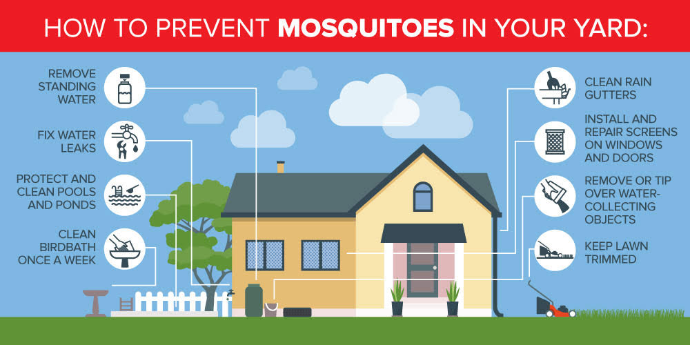 How to prevent mosquitoes in Central Florida - Heron Home & Outdoor