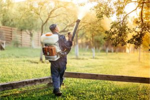 How Effective Is Mosquito Treatment? - Heron Home & Outdoor