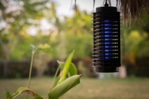 Do mosquito traps really work in Central Florida - Heron Home & Outdoor