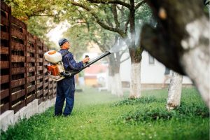 How To Prevent Mosquitoes In Your Yard in Central Florida; Heron Home & Outdoor