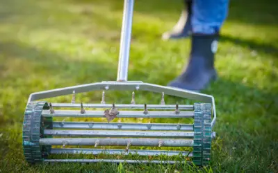 manual lawn aerating tool keeps grass healthy in florida