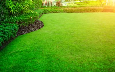 Florida Lawn Care Tips: The Ultimate Guide to Lavishly Lush Grass