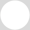 Bed Bug Exterminator services in College Park FL by Heron Home & Outdoor