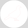 Bird Control services in College Park FL by Heron Home & Outdoor