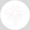 Bee Exterminator services in College Park FL by Heron Home & Outdoor
