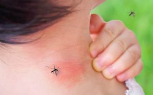 A person scratching a mosquito bite while a mosquito sits on their neck.