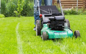 Live pest-free* outdoors with tips from Heron Home & Outdoor in Central Florida