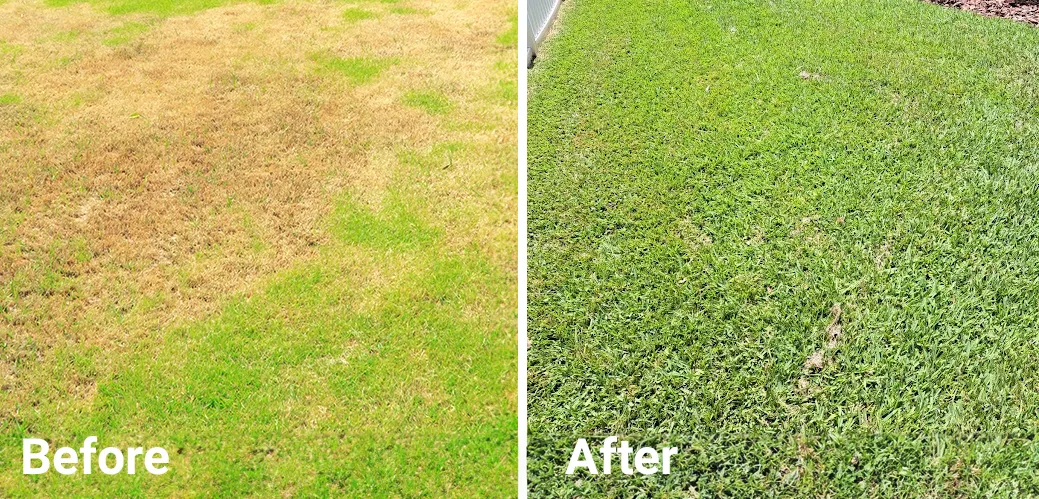 before_after_lawn