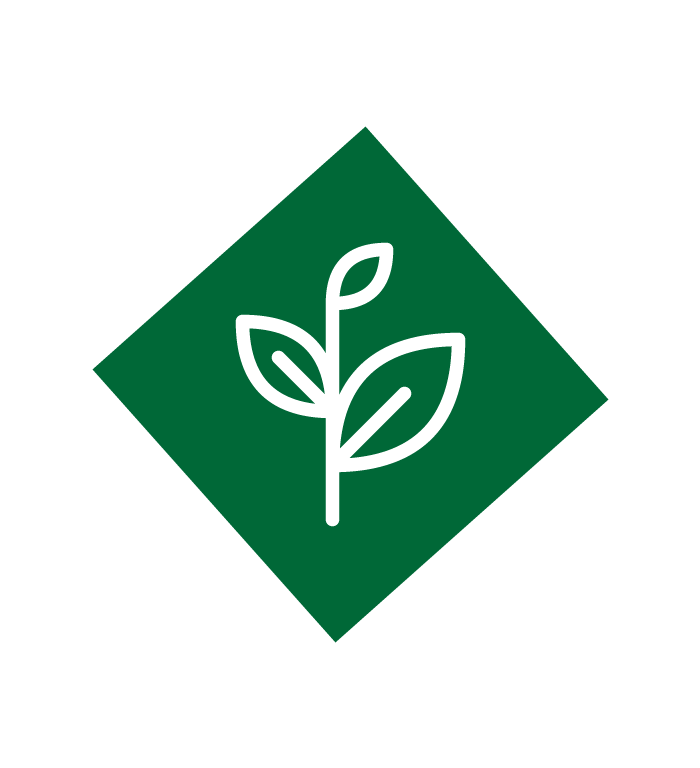 Broadleaf weed Icon