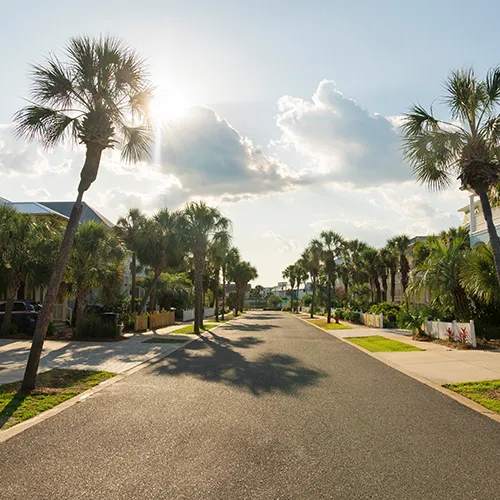A sun-drenched view looking down a paved suburban road lined with tall palm trees. The sun is partially obscured by bright white clouds, creating a slight lens flare. The homes on either side are partially visible behind lush tropical foliage and white picket fences.