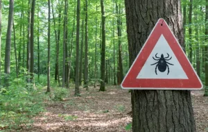 Tick insect warning sign in forest
