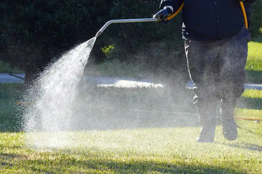 Treating a Florida lawn with insecticide