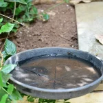 A water pot in a garden with standing water