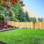 Open space backyard with freshly trimmed grass and bushes