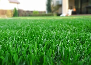 Lawn  Learning Center